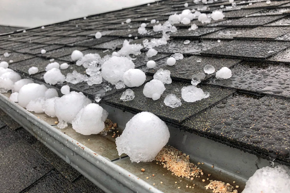 Hail stones lying on a wet shingle roof and collected in the gutter